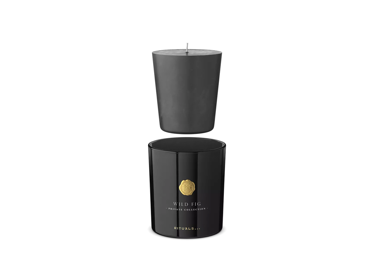 Wild Fig Refill Scented Candle 360g