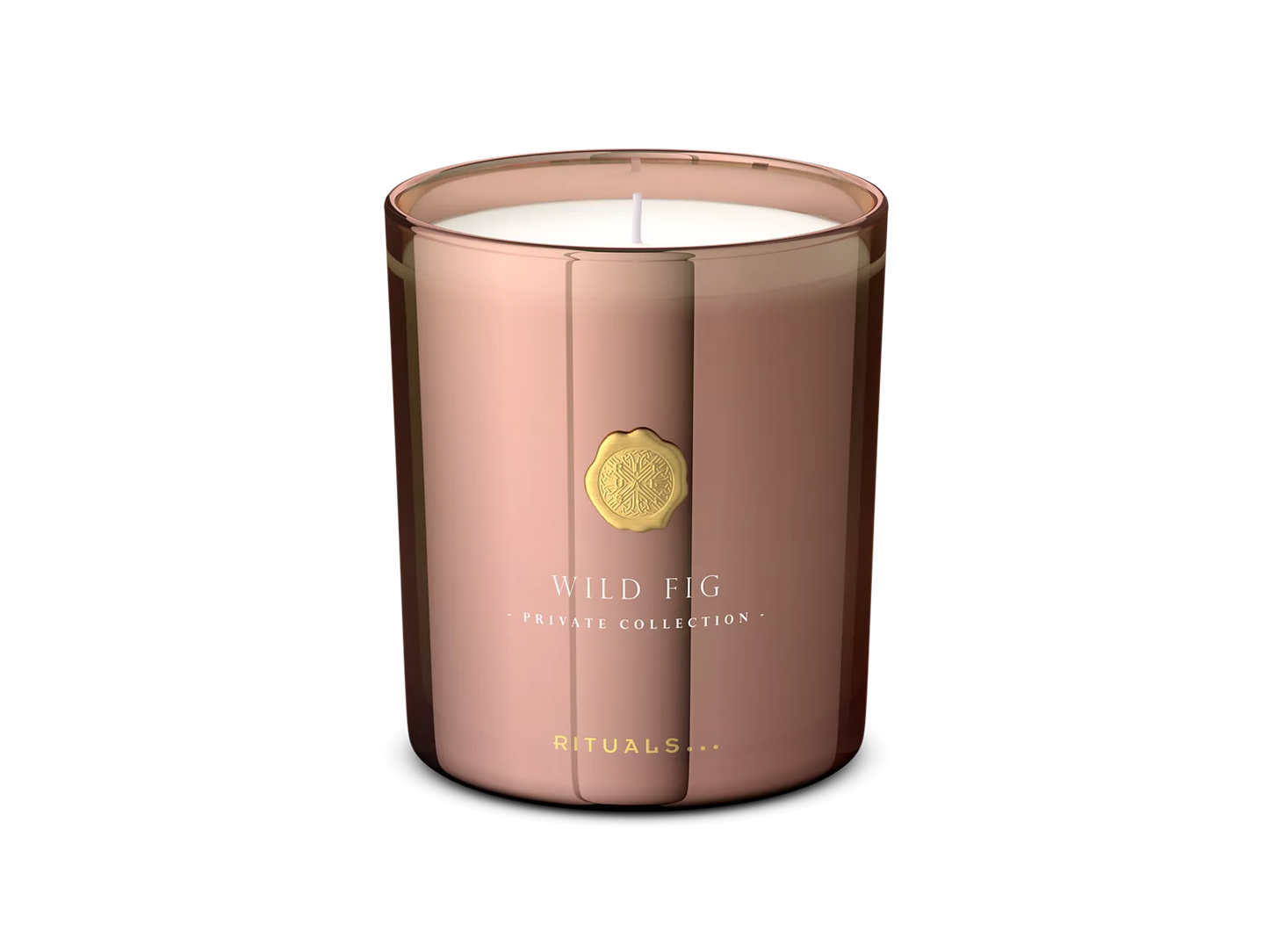 Wild Fig Scented Candle 360g