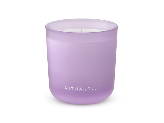 The Dream Collection Scented Candle daydreamer kaars, 290 gr